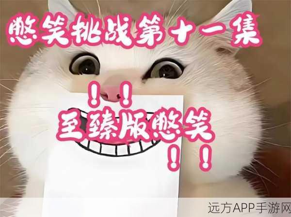 西游笑哈哈新版本震撼登场,益智挑战全面升级,欢乐赛事等你挑战