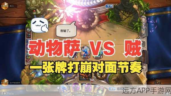 炉石传说，揭秘弃牌动物园构筑奥秘，直击顶尖赛事精彩瞬间