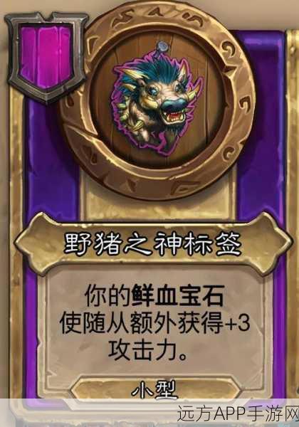 炉石传说,揭秘弃牌动物园构筑奥秘,直击顶尖赛事精彩瞬间