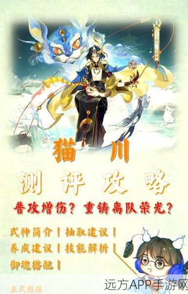 忘川风华录,猫咪修行秘籍大公开,萌动江湖的制胜攻略