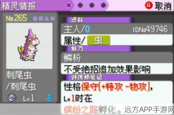 口袋妖怪漆黑深度解析，魅影铁哑铃性格优选策略