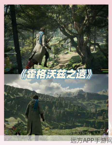 揭秘霍格沃茨之遗，雷酿配方全解析及魔法竞技细节