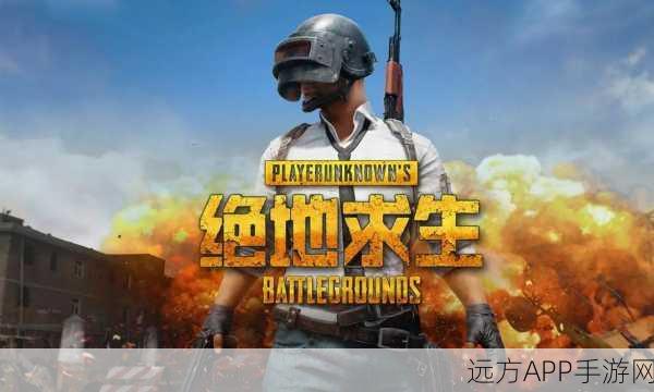 绝地求生正式版色彩异常全攻略,告别颜色显示错误,畅享吃鸡盛宴