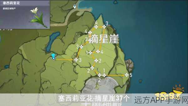 原神玩家必看，高效采集塞西莉亚花路线攻略及分布详解
