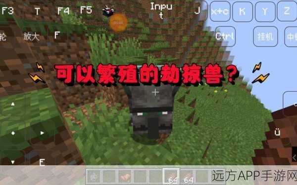 我的世界探秘,劫掠兽出没地点全解析