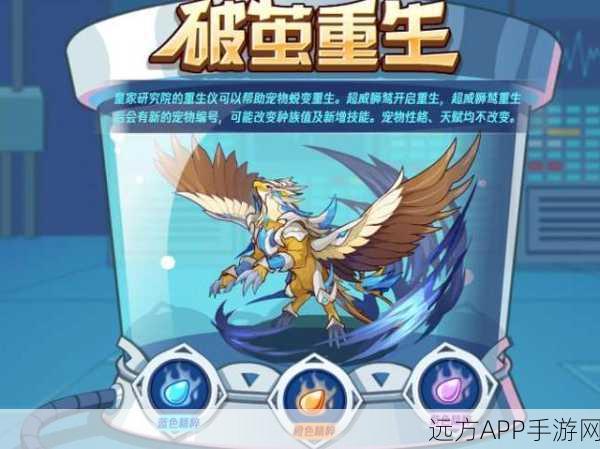 洛克王国深度解析,小狮鹫性格优选指南