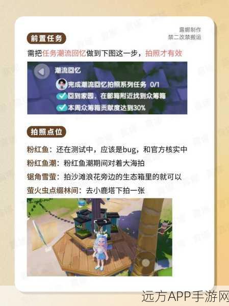 心动小镇摄影大赛全攻略，揭秘高分作品背后的拍摄技巧与任务速通秘籍