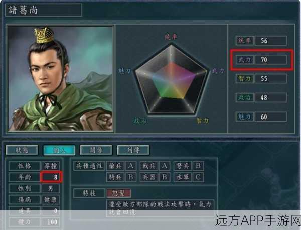 三国志11角色年龄大揭秘,历史与游戏的完美交融