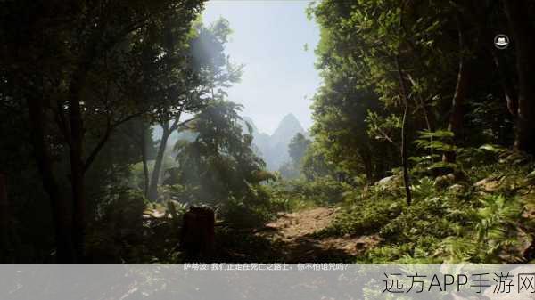 手游攻略大揭秘，夺宝奇兵古老之圈，父子携手解谜全攻略