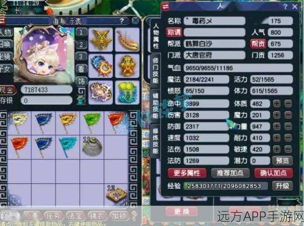 梦幻西游手游2025宝石攻略，大唐双雄顶尖配置揭秘