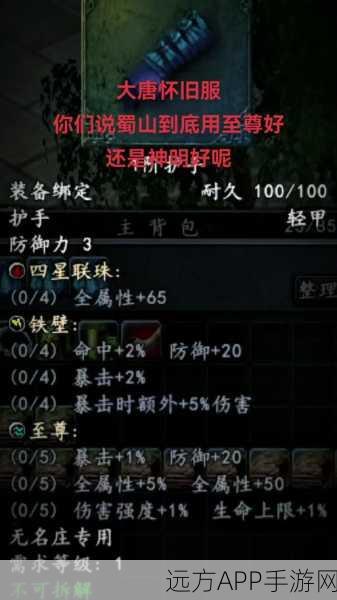 大唐无双手游，竞技场称霸攻略，装备升级秘籍全揭秘