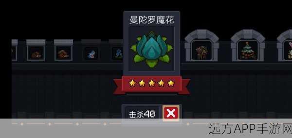 元气骑士道士三技能全攻略,解锁实战潜能,称霸地牢