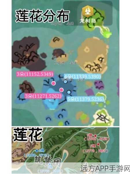 手游攻略,揭秘创造与魔法蓝莲秘境,高效采集技巧大公开
