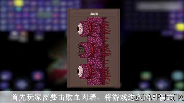 泰拉瑞亚探秘，光明之魂与黑暗之魂ID全解析及获取攻略