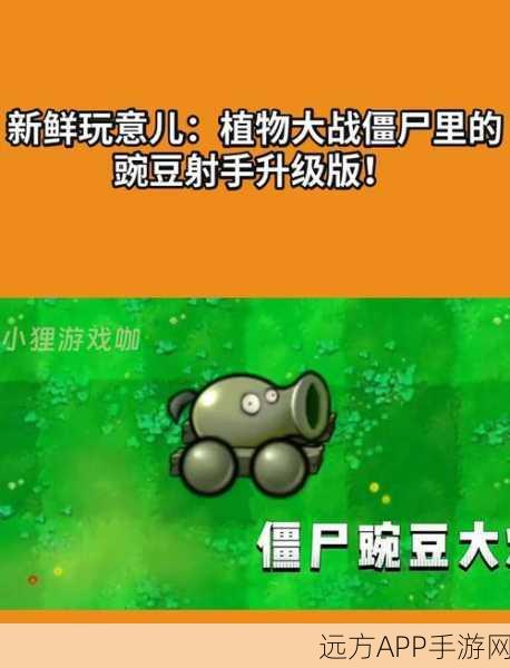 双向豌豆射手闪耀登场,植物大战僵尸全新魅力解析
