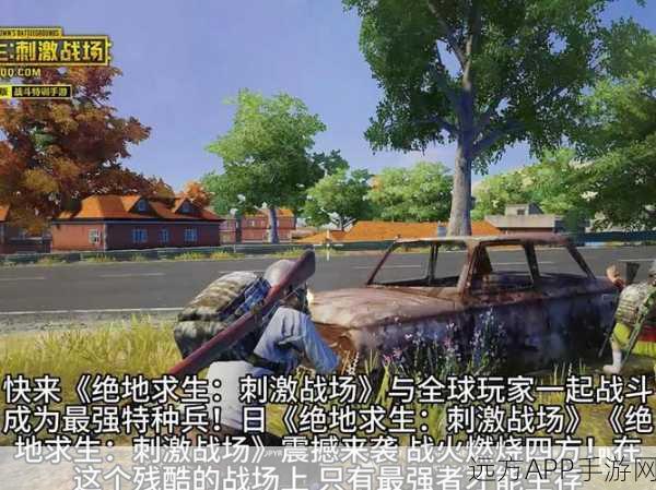 揭秘刺激战场,现实版吃鸡赛事震撼来袭,地点与细节全曝光