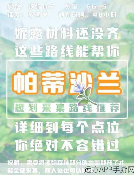 原神帕蒂沙兰高效采集全攻略，独家路线图揭秘与采集技巧大放送