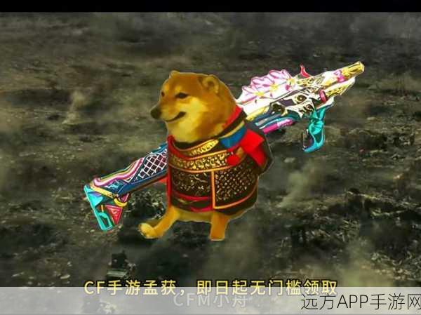 CF手游财富秘籍，卡包系统深度解析，助你称霸枪战赛场！