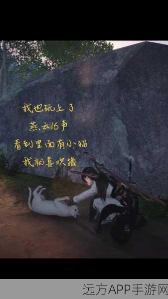 剑灵轻功挑战赛火爆升级,揭秘飞檐走壁终极任务与百草居士现身谜团