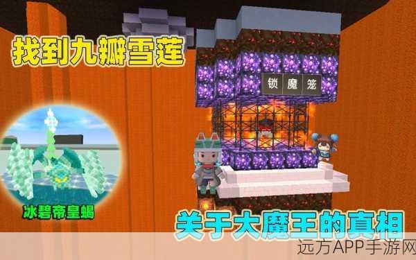 揭秘迷你世界，庇护雪莲的神秘力量与高效获取策略