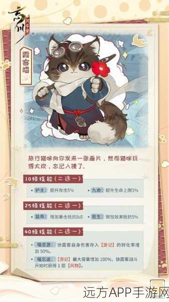 忘川风华录，名士猫升级全攻略，揭秘高效养成秘诀