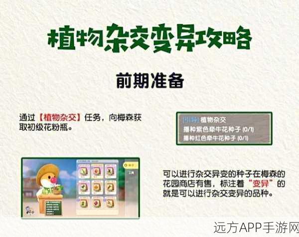 摩尔庄园，满天星花寻觅指南与高效采集攻略