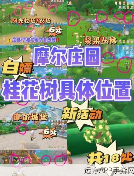 摩尔庄园,满天星花寻觅指南与高效采集攻略