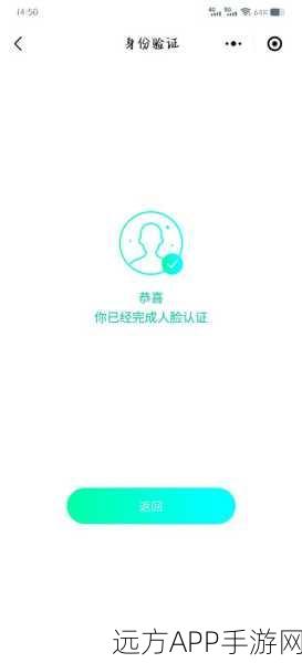 王者荣耀实名认证修改全攻略，突破次数上限的秘诀