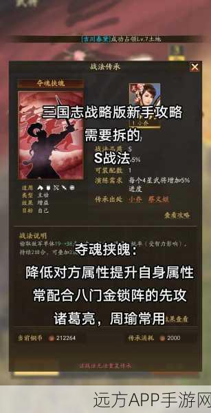 三国志战略版，揭秘速度属性与行动顺序的判定奥秘