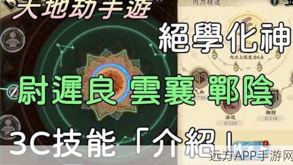 天地劫手游,云襄技能搭配深度解析与实战应用
