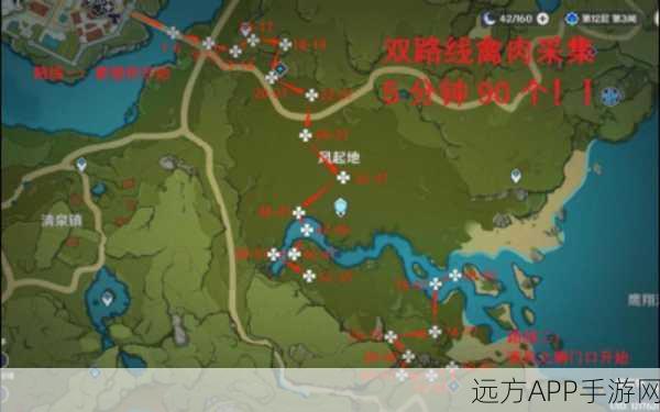 原神禽肉高效采集指南,热门地点与独家获取秘籍大公开