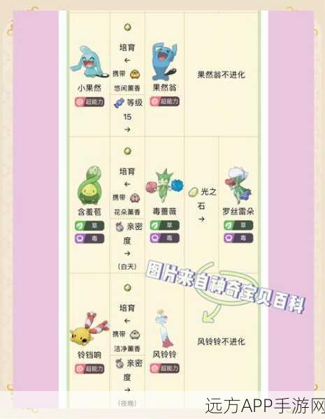 探秘宝可梦世界,揭秘鬼斯配方与进化全攻略