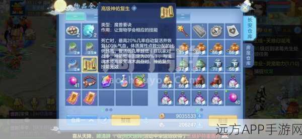 神武曜华城深度攻略,加点技巧与玩法解析