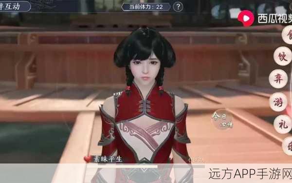 天涯明月刀手游,全面攻略阿暖,解锁情缘与战斗双赢秘籍