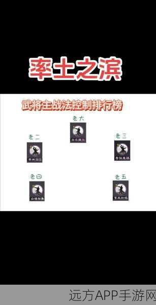 手游攻略，率土之滨武将超速养成法，揭秘高效升级与竞技新策略