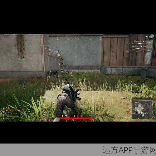 刺激战场队友掉线急救指南,高效应对,逆转战局!