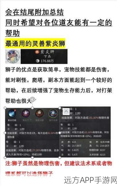 珍品灵兽养成攻略，一念逍遥新手灵兽进阶秘籍