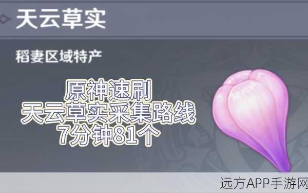原神天云草实全收集秘籍，速刷雷神升级必备材料