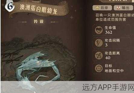哈利波特魔法觉醒，揭秘龙蛋孵化全攻略，助你成为魔法世界的驯龙高手！