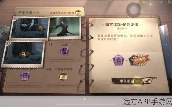 哈利波特魔法觉醒,揭秘龙蛋孵化全攻略,助你成为魔法世界的驯龙高手!
