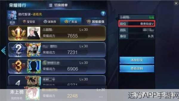 王者荣耀，揭秘高低端局差异，助你冲上王者之巅