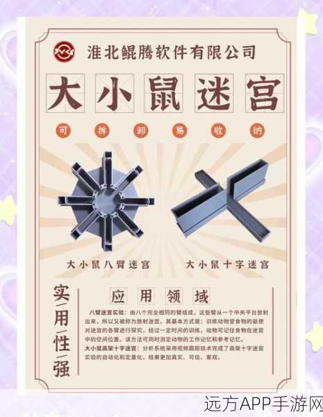 揭秘不思议迷宫封印之书，解锁无尽探险的终极奥秘