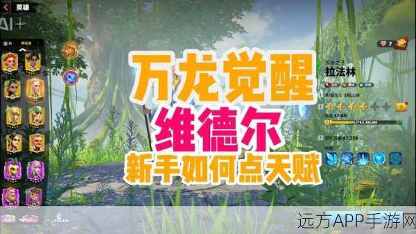 万龙觉醒争霸赛,韦林角色深度剖析与实战高光时刻