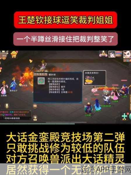 大话西游手游,万兽园探险全攻略,解锁万兽之王荣耀之路