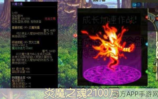 DNF天帝玩家必备，宠物选择与搭配攻略