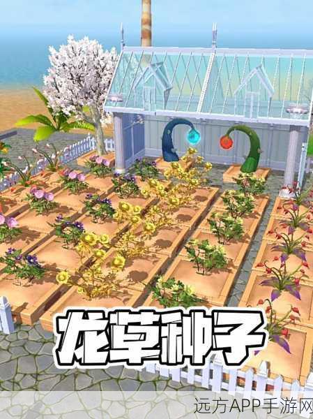 手游攻略大揭秘，创造与魔法高效养鸡全攻略