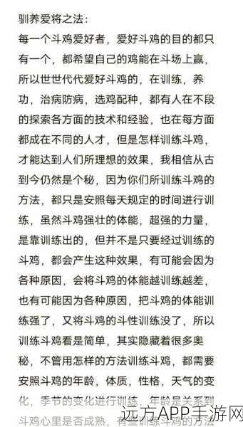 手游攻略大揭秘,创造与魔法高效养鸡全攻略