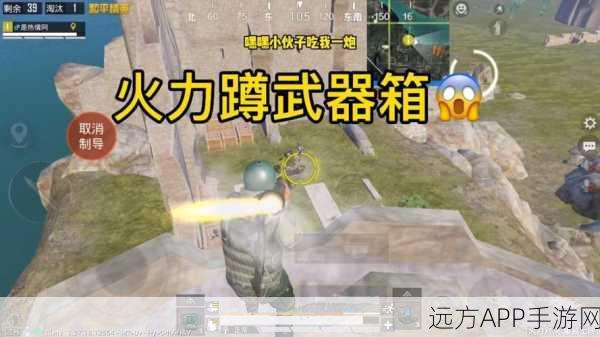 和平精英高手必看，揭秘火力对决制胜策略与实战技巧