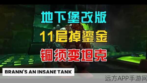 魔兽世界十一区深度探索，解锁奇幻冒险，赢取独家虚拟宝藏