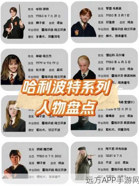 哈利波特手游角色大揭秘，深入解析主要人物与复杂关系网